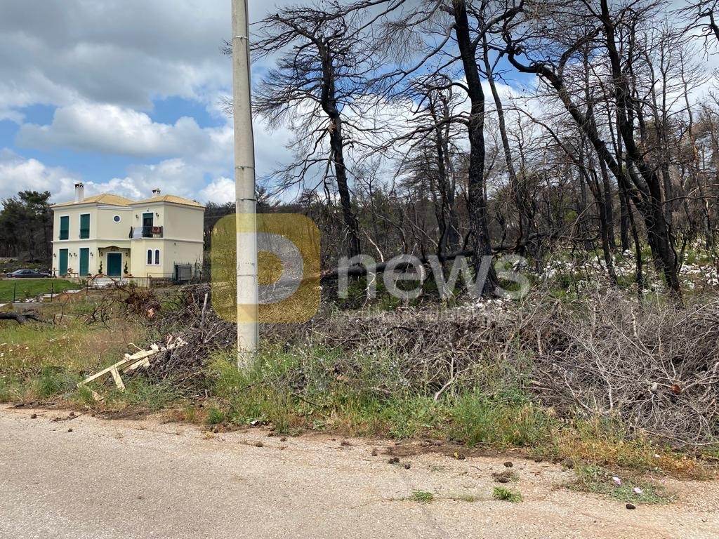 WhatsApp Image 2022 06 08 at 19.09.35 1