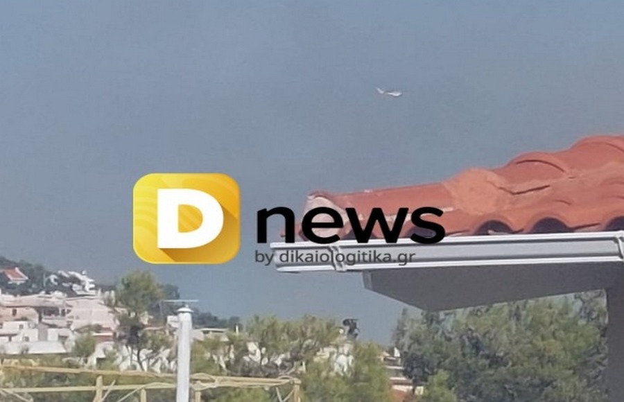 WhatsApp Image 2022 07 19 at 18.16.56