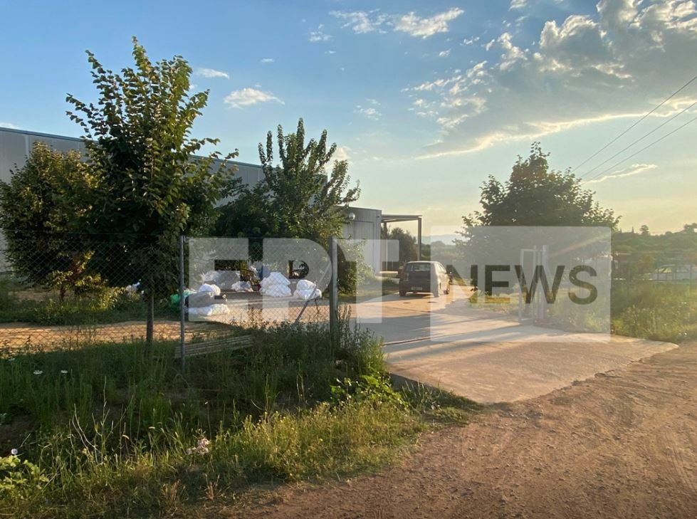 μεσσηνη 49χρονη