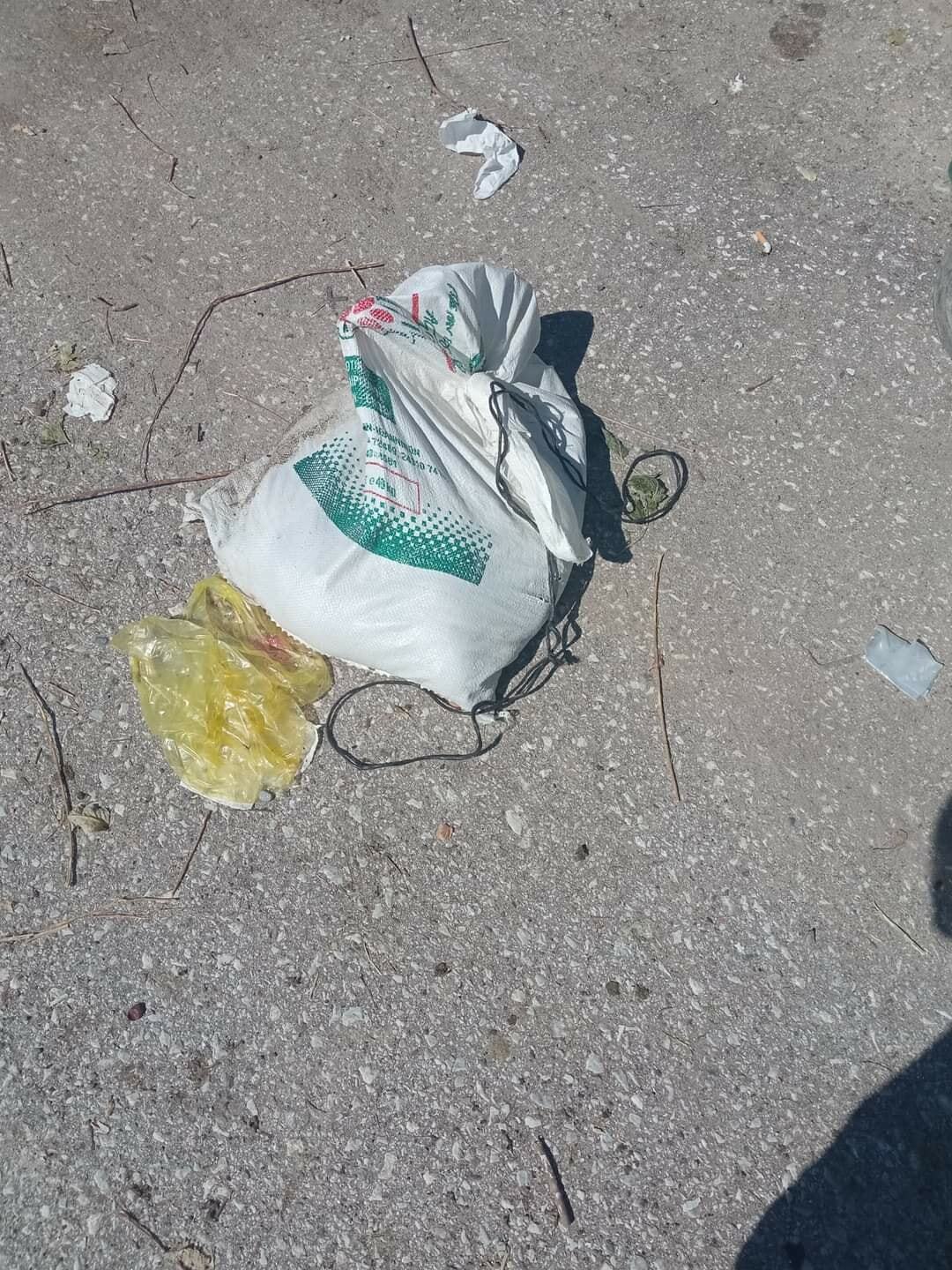 307331756 10223315049964399 8535710889009984080 n