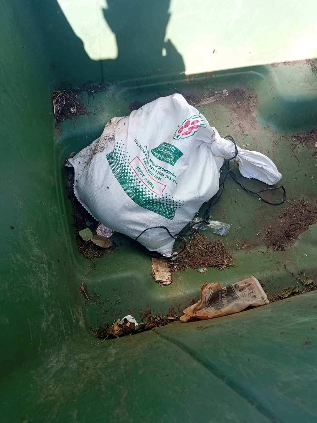 307468733 10223315050204405 5093483539917248647 n 1