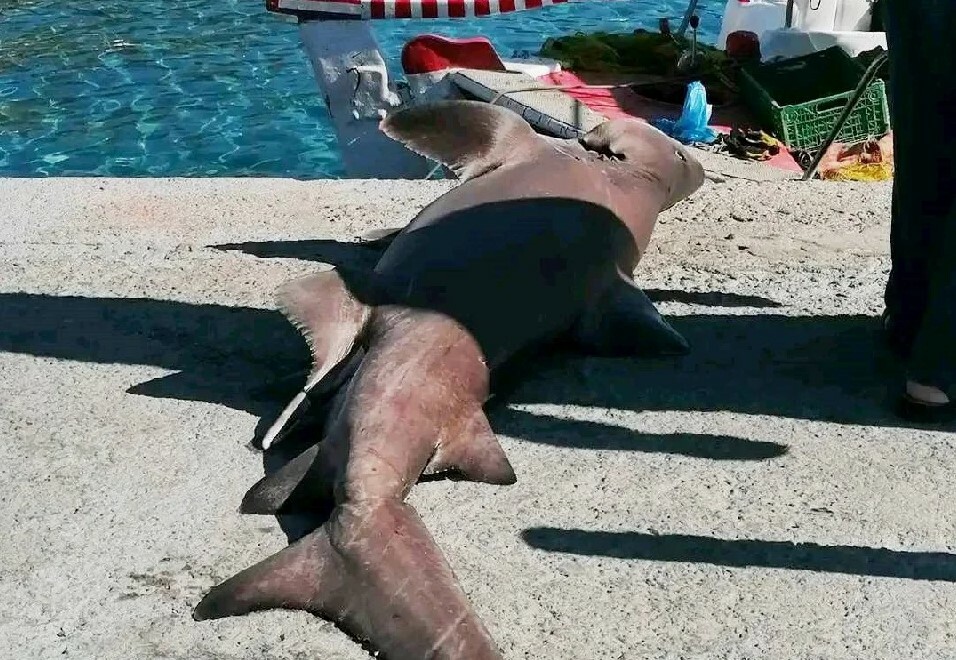 Στιγμιότυπο οθόνης 2022 09 16 204333