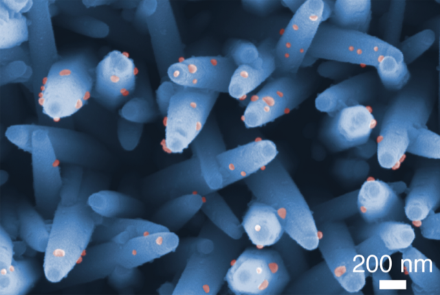 Low Res Nanowires DrYasui NagoyaU.png