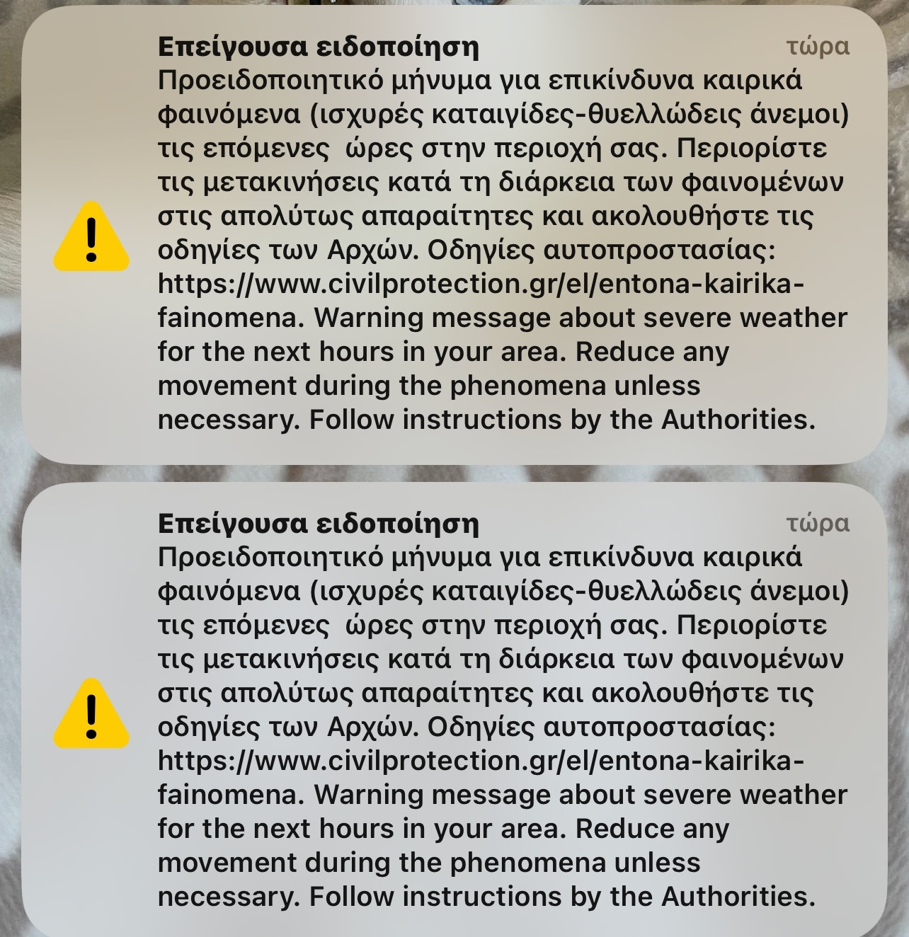 WhatsApp Image 2023 01 26 at 10.57.40