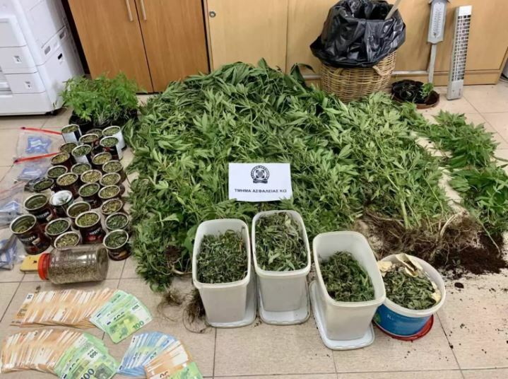 ΧΑΣΙΣΟΦΥΤΕΙΑ