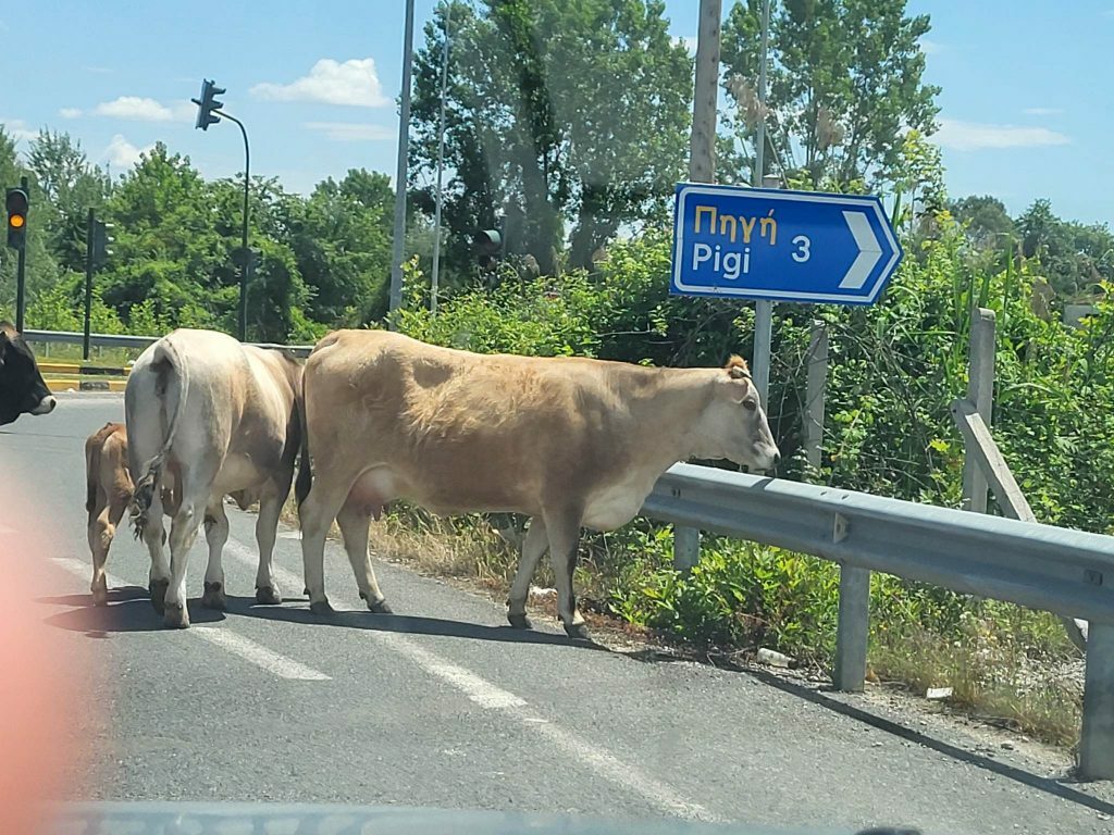 346134843 758752289061897 4016515712103558421 n 1024x768