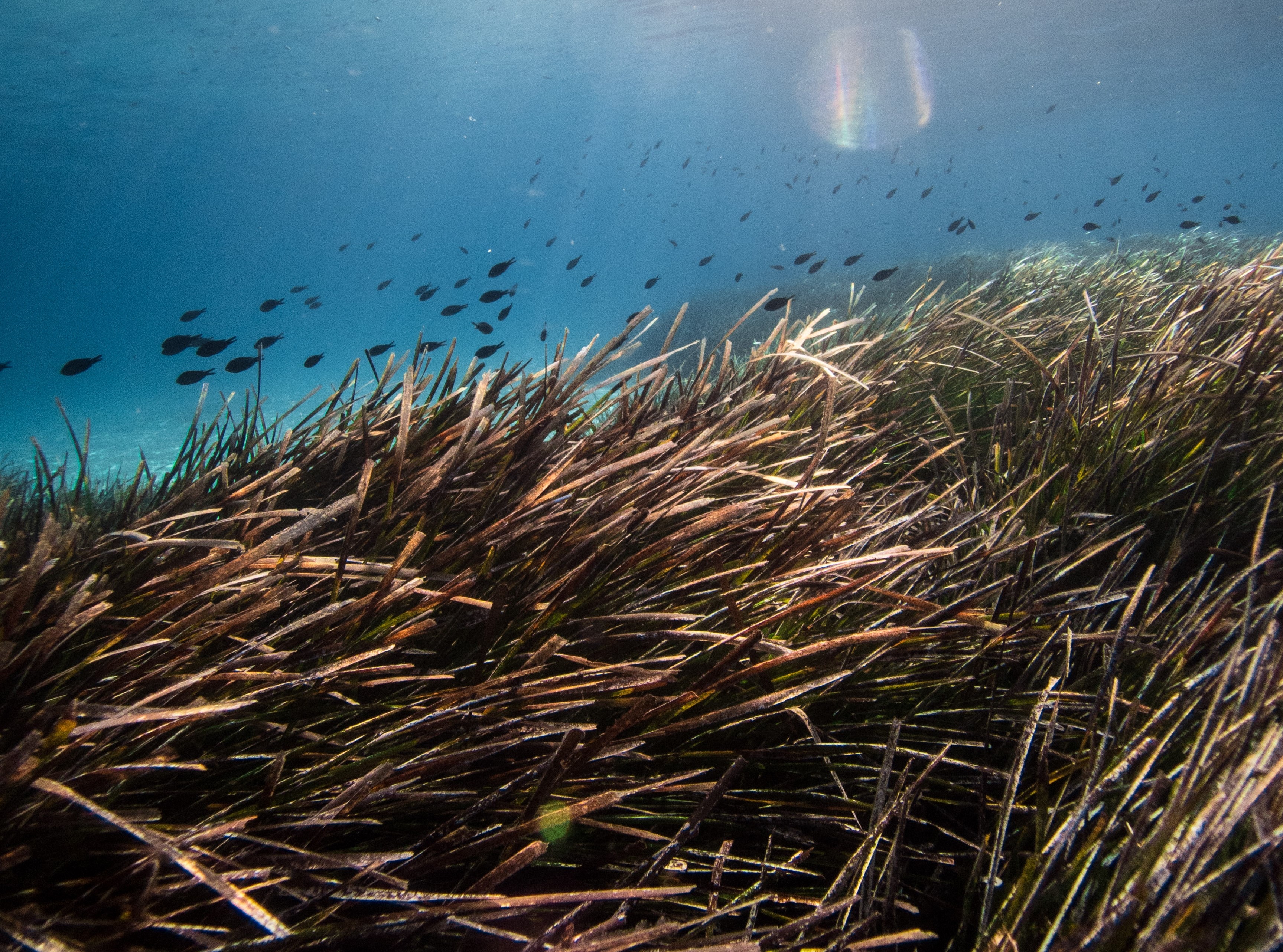 benjamin l jones 39SlEAlZEq8 unsplash