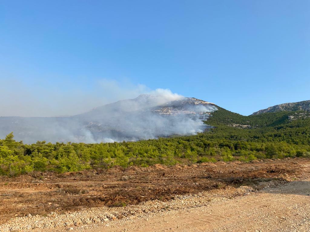 WhatsApp Image 2023 08 24 at 08.38.06 2