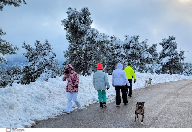 ΧΙΟΝΙΑ, ΚΑΚΟΚΑΙΡΙΑ, ΕΚΤΑΚΤΟ ΔΕΛΤΙΟ ΚΑΙΡΟΥ, ΚΑΙΡΟΣ