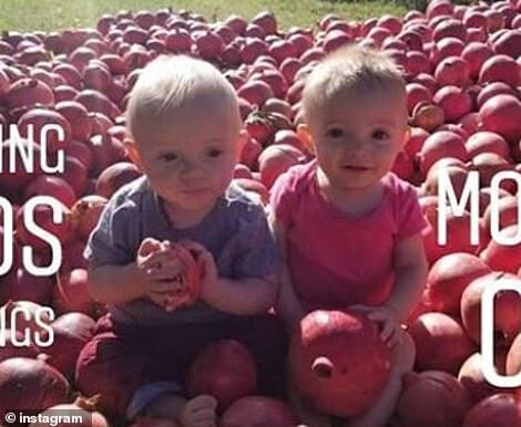 20621236 7650129 image m 86 1572954431542