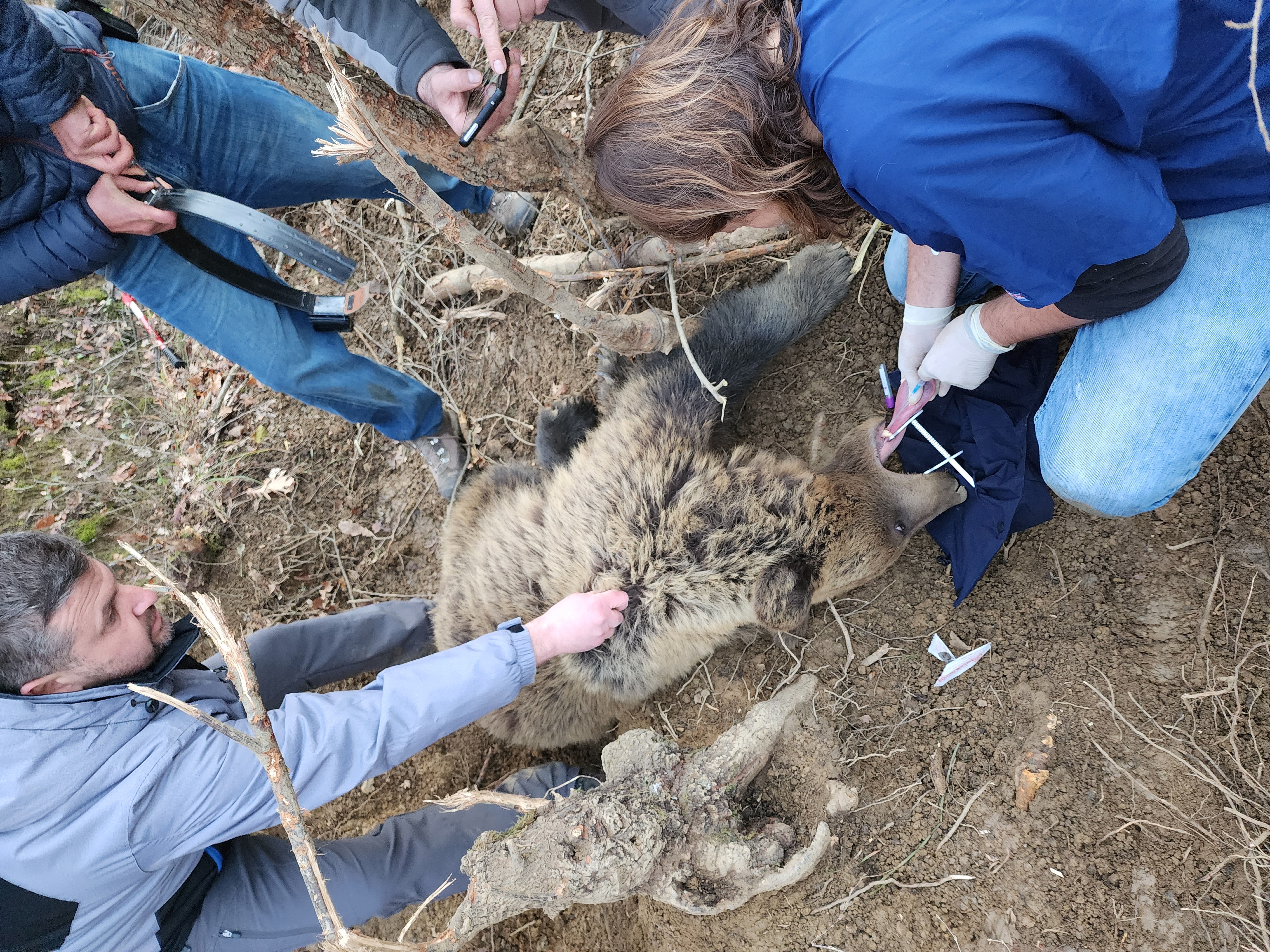 231227μετρήσειςκαιπροετοιμασίακολλάρου