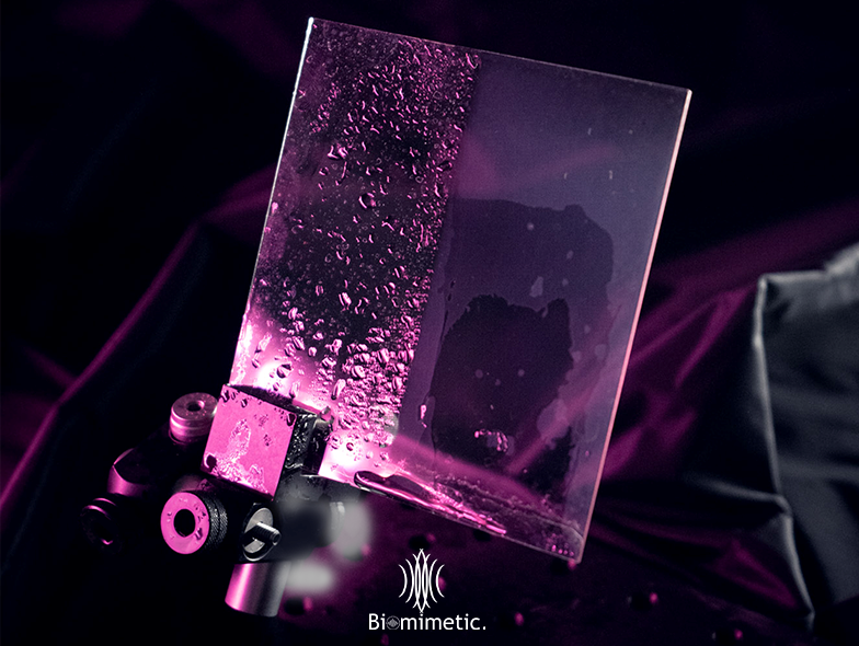 274467941 450284486886202 3505515122190082502 n