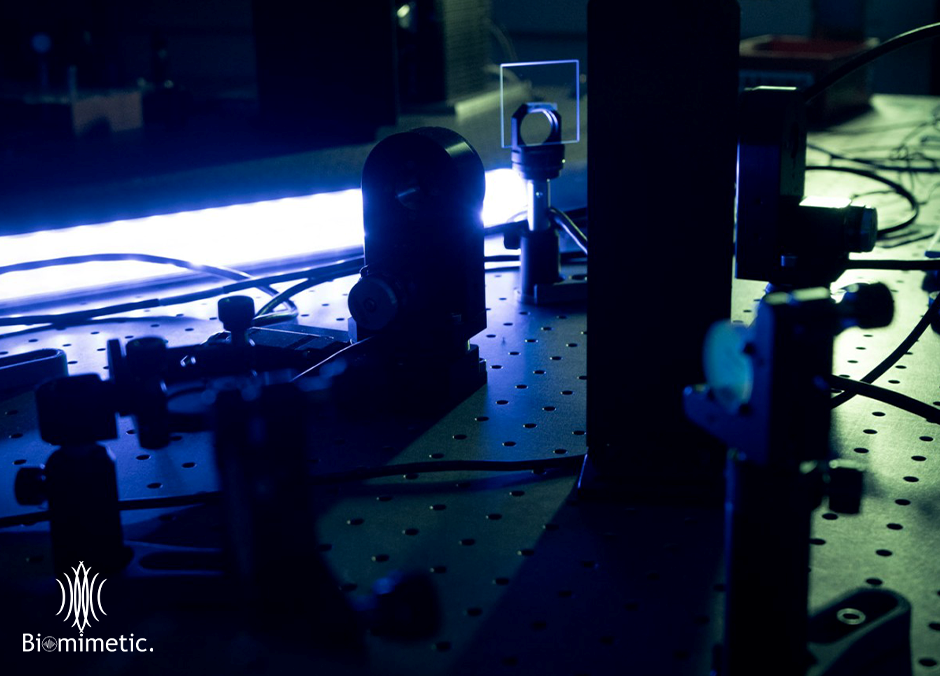 276136241 465323838715600 1874781368863908077 n