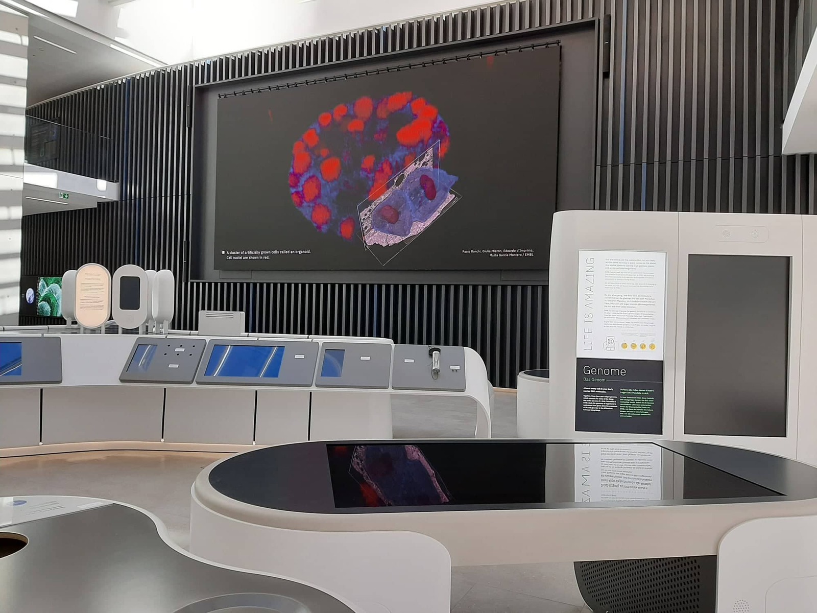 309084226 427423822810119 4576578607991186658 n