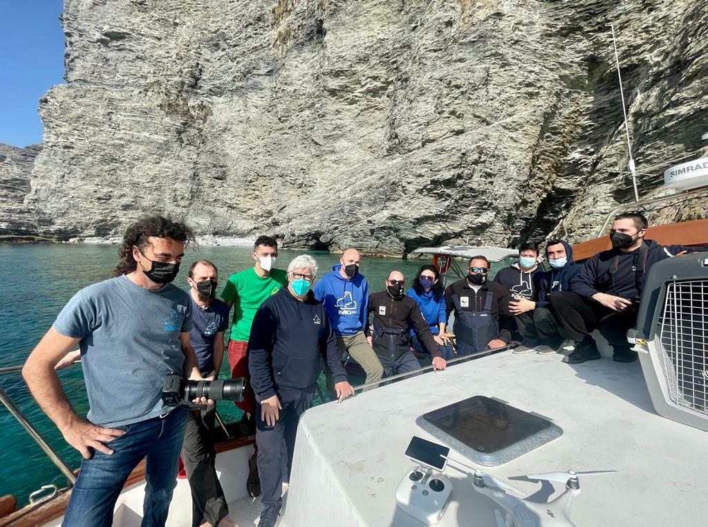 79920304 878b 4929 94ae dd845e6e472f