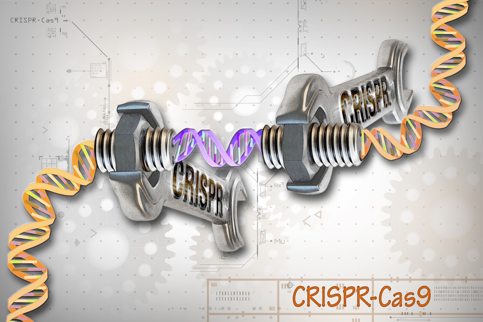 CRISPR Cas9 Editing of the Genome 26453307604