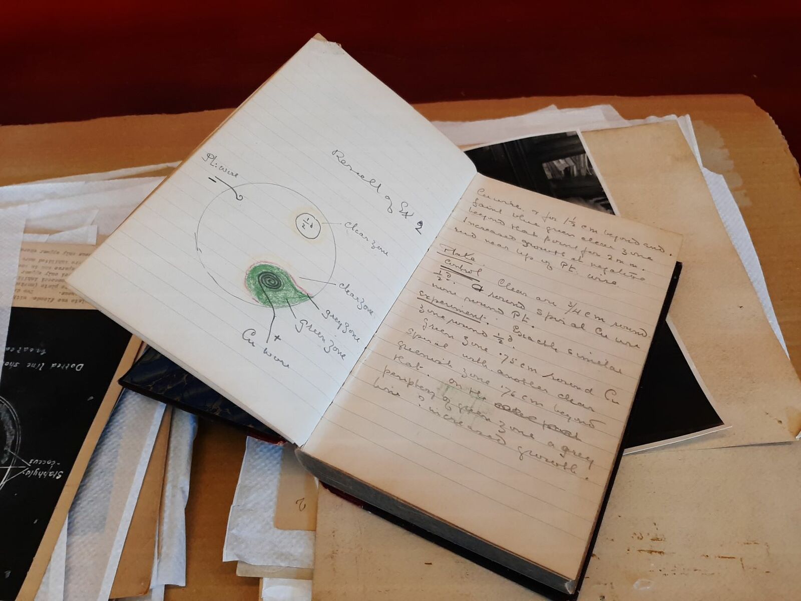 Lab Book του Α. Φλέμινγκ