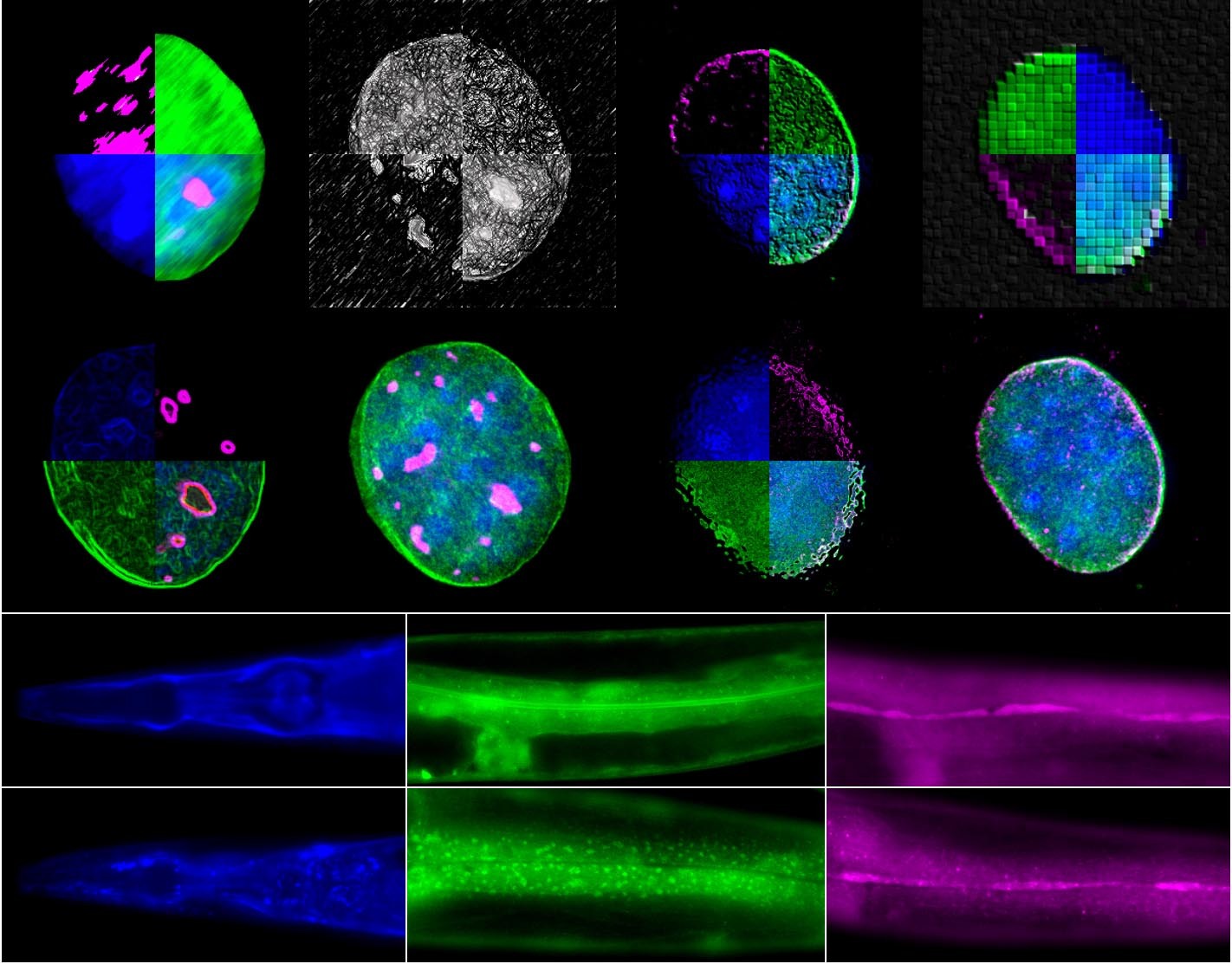 Press nucleo art 3 SMALL
