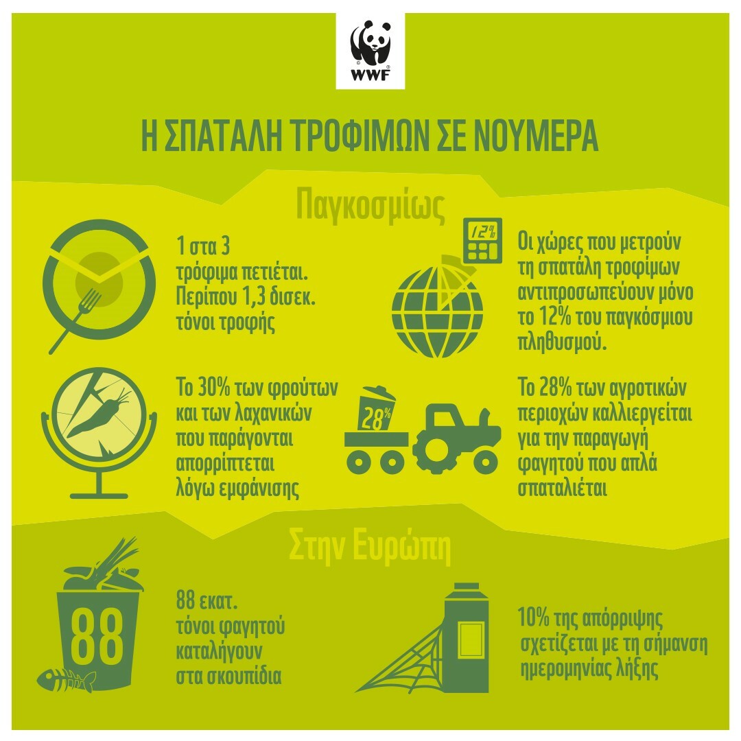 WWFFood Waste Infographic 1