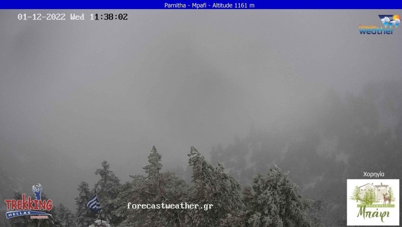 WhatsApp Image 2022 01 12 at 11.51.58