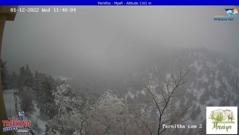 WhatsApp Image 2022 01 12 at 11.52.07