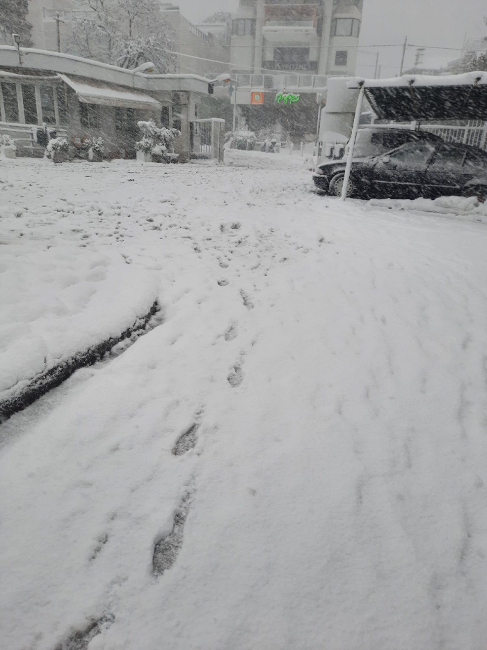 WhatsApp Image 2022 01 24 στις 18.07.29