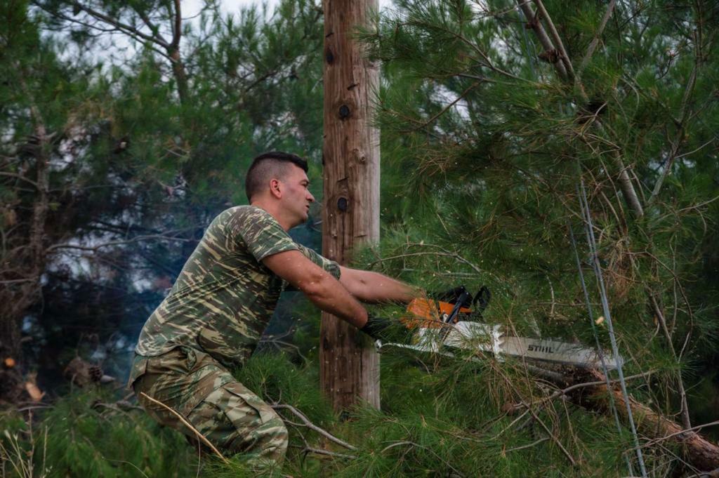 WhatsApp Image 2022 07 26 at 08.52.10