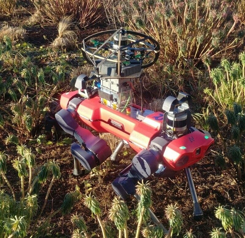 a marsupial robotic sy 2