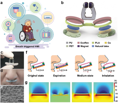 admi202201202 fig 0001 m