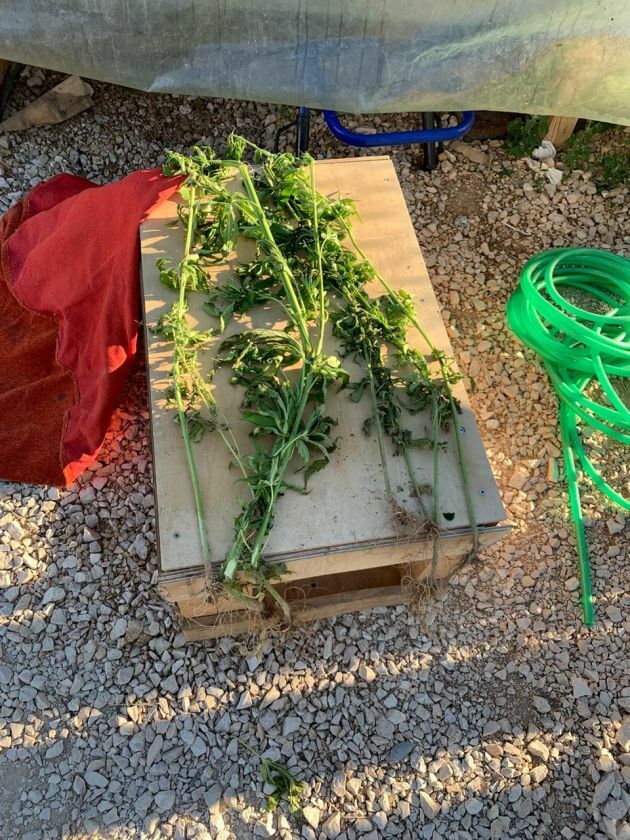 δομη κατσικα ιωάννινα ναρκωτικά