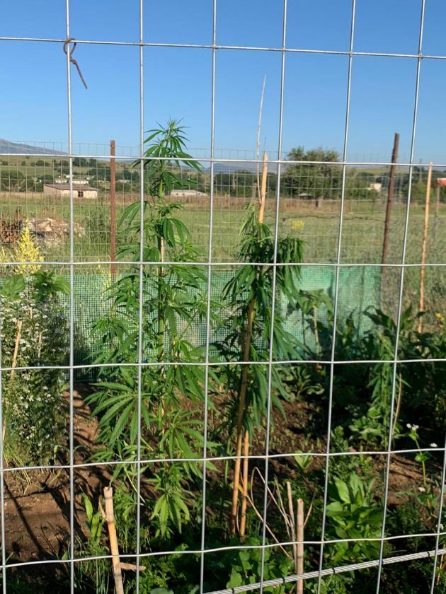 δομη κατσικα ιωάννινα ναρκωτικά