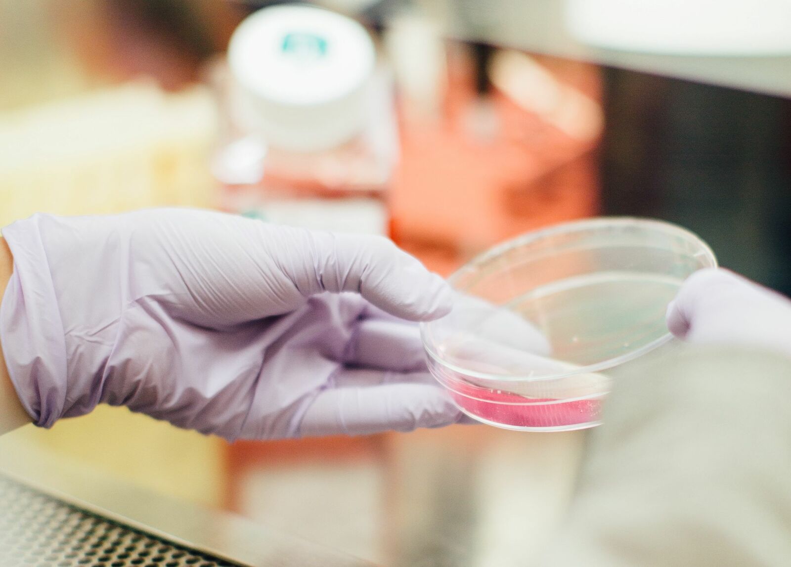 drew hays tGYrlchfObE unsplash