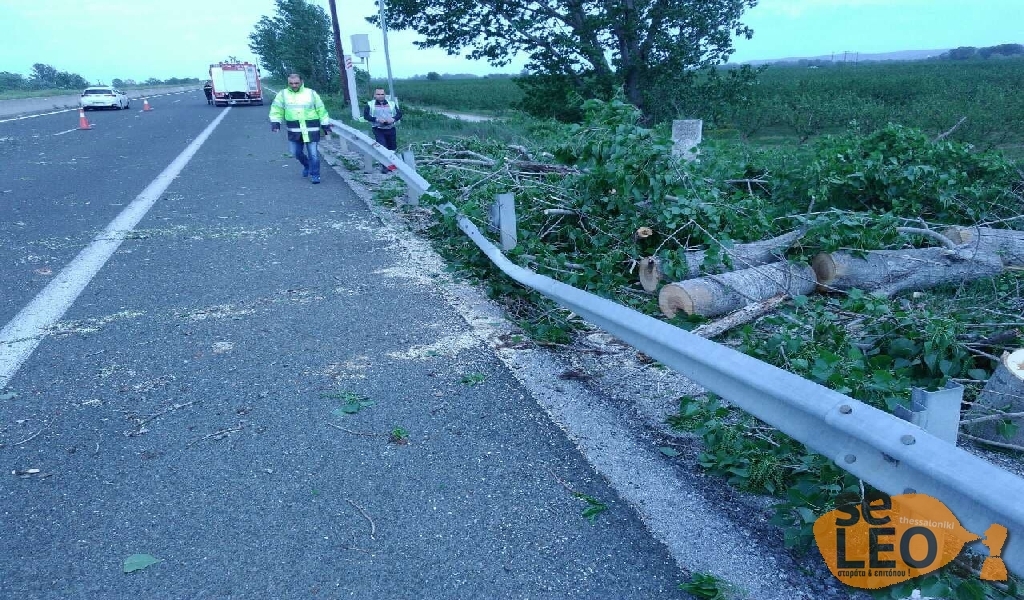 DYSTYXHMA DENTRO AYTOKINHTO 04