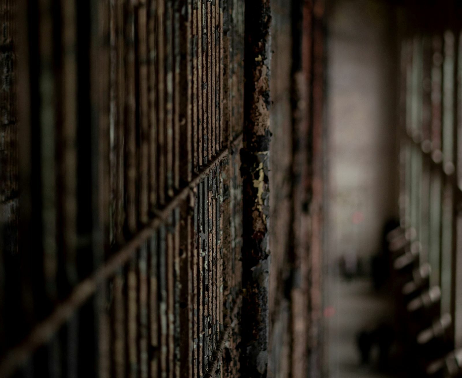 r d smith QNVPsoxh rM unsplash