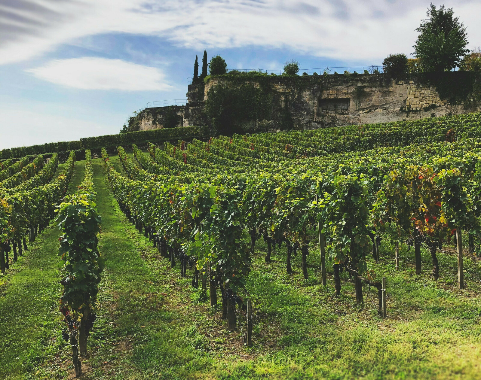 rivage w4Q9l03Qq4o unsplash 9ab9a