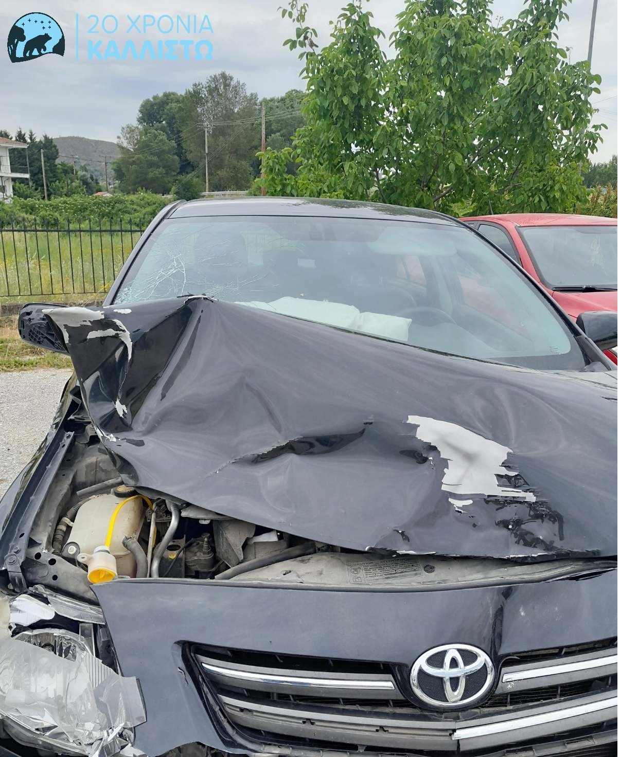 troxaioatyximamearkoudab1562024 8bcb8