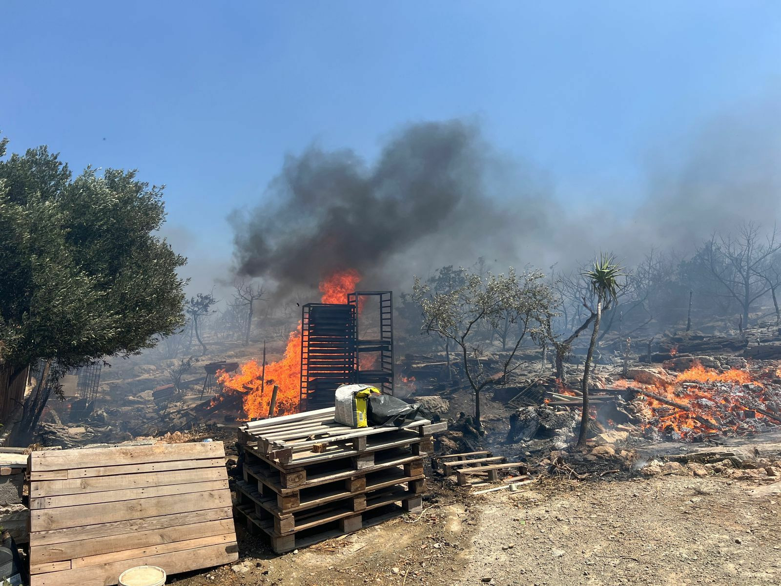 fotia koropi 2 f0aae