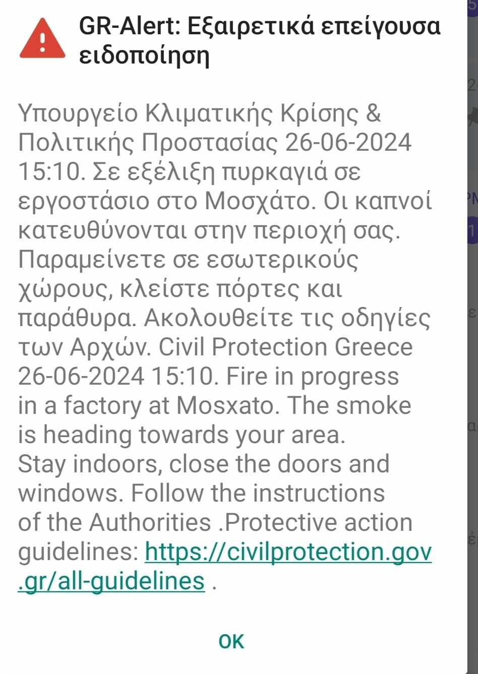 WhatsApp Image 2024 06 26 at 15.13.47 6fafd