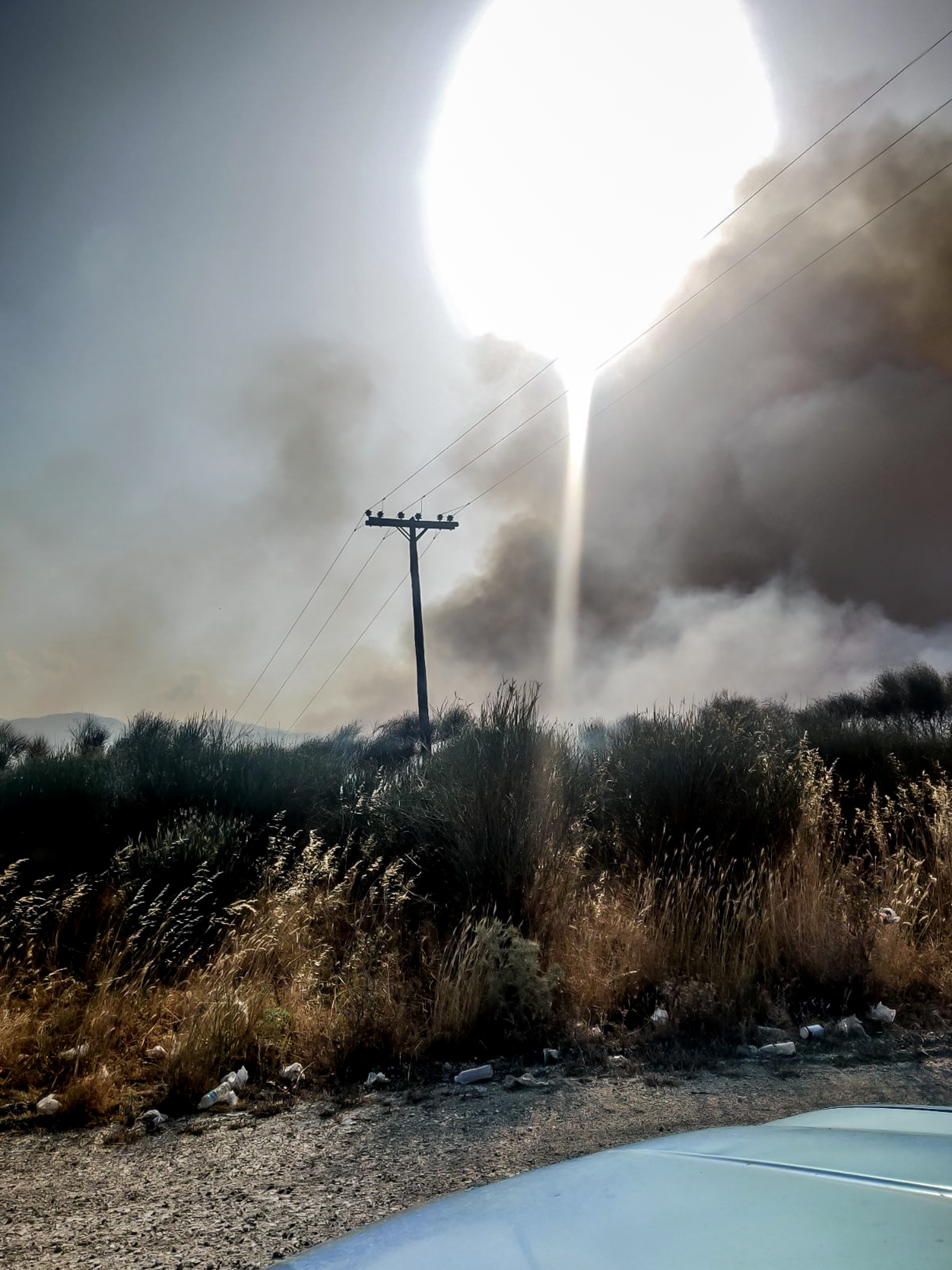 fotia orthovouni 2667 439a3