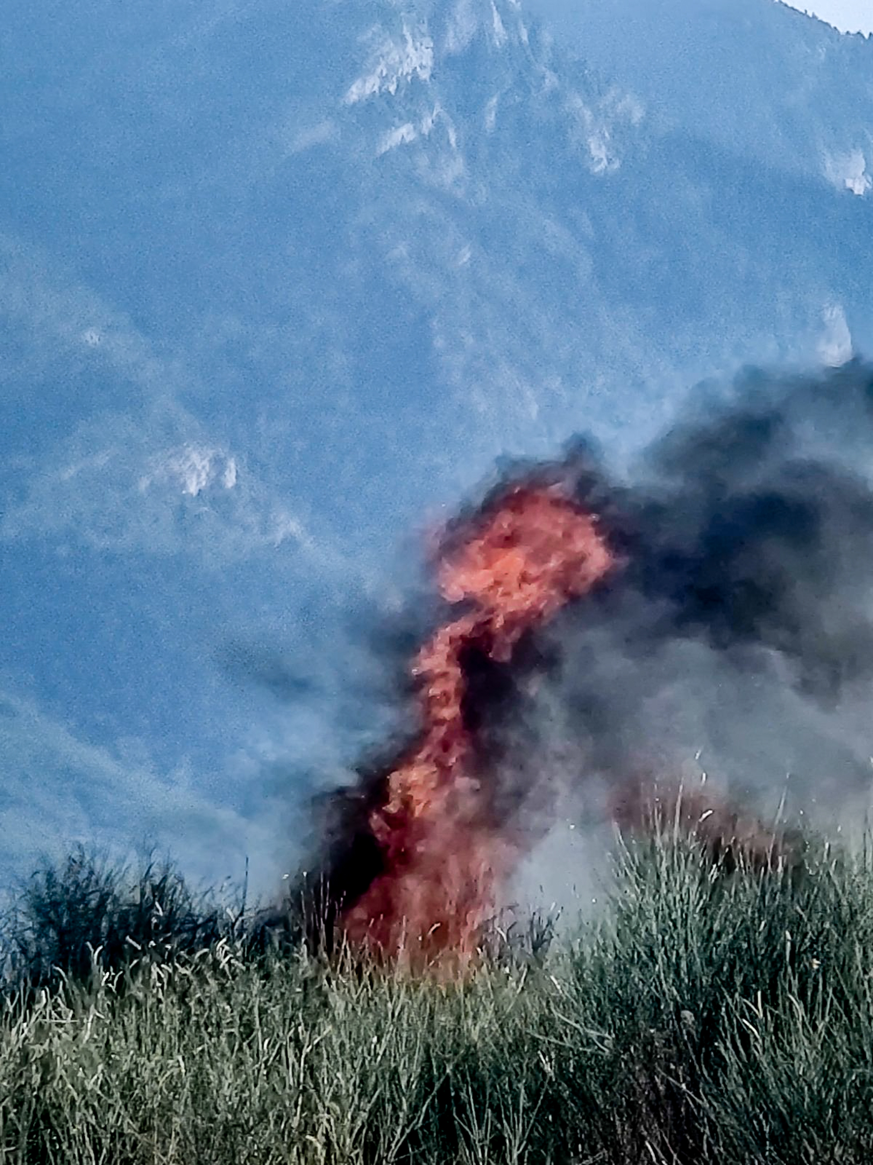 fotia orthovouni 266 b56bf