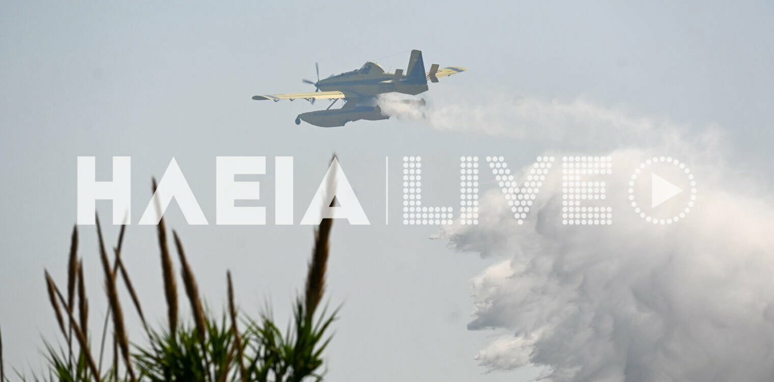 Kardamas fire 1 1 e0082