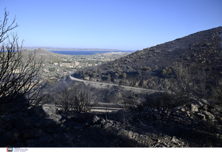 ΦΩΤΙΑ ΚΕΡΑΤΕΑ