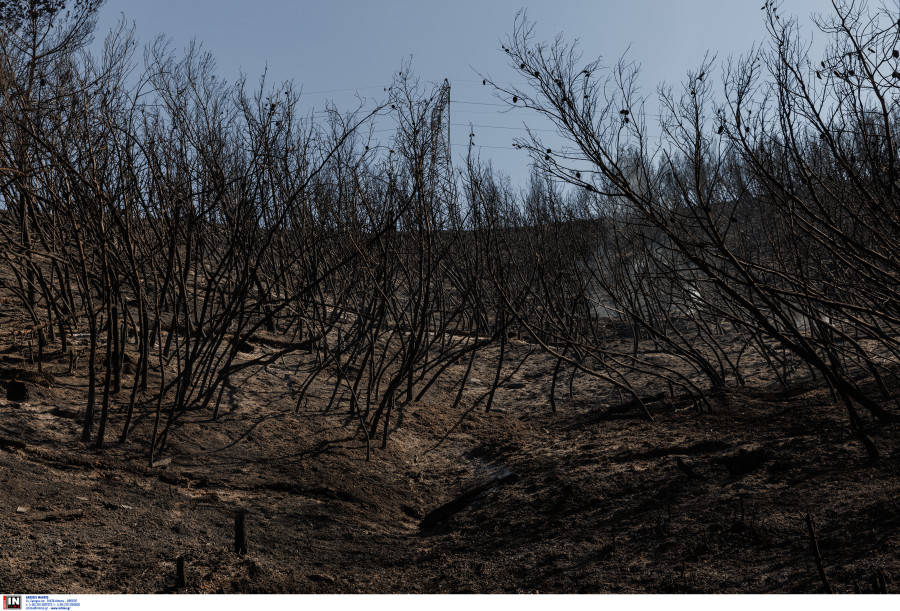 ΦΩΤΙΑ ΣΤΑΜΑΤΑ