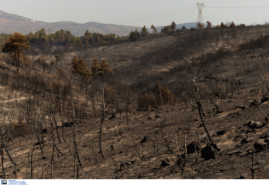 ΦΩΤΙΑ ΣΤΑΜΑΤΑ