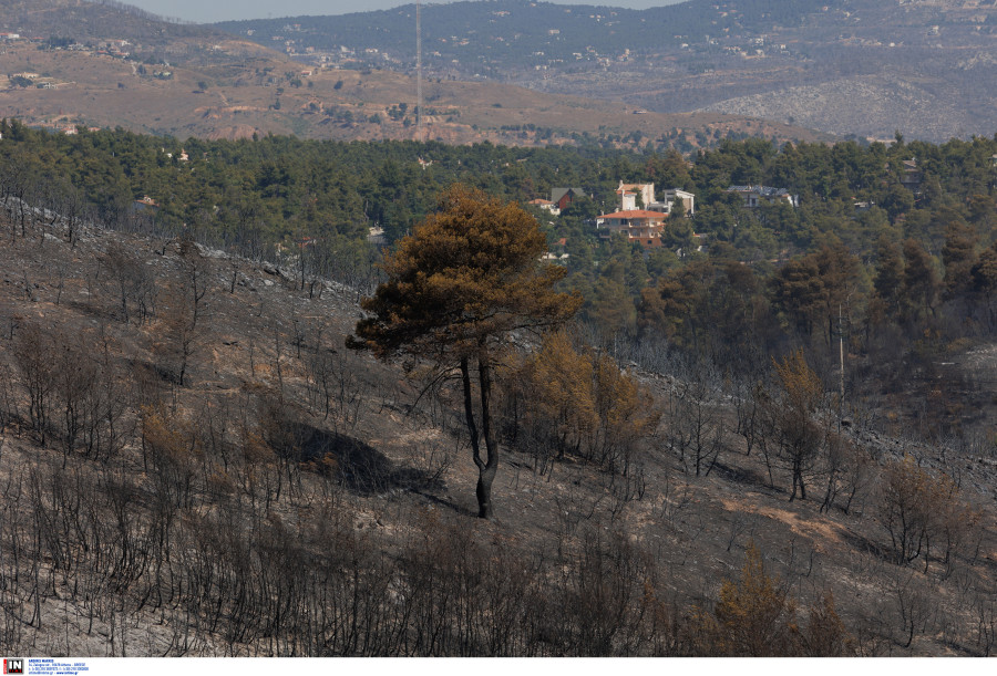 ΦΩΤΙΑ ΣΤΑΜΑΤΑ