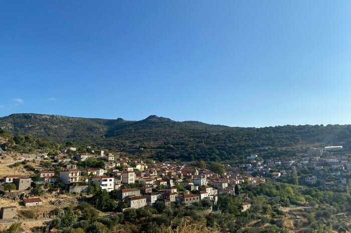 lesvos2_2_42a89.jpg