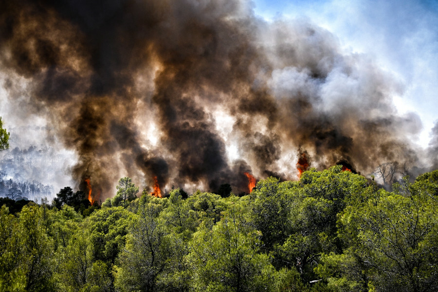 ΦΩΤΙΑ ΣΟΦΙΚΟ
