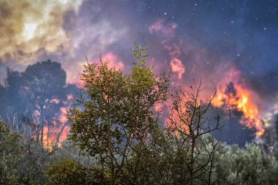 ΦΩΤΙΑ ΣΟΦΙΚΟ