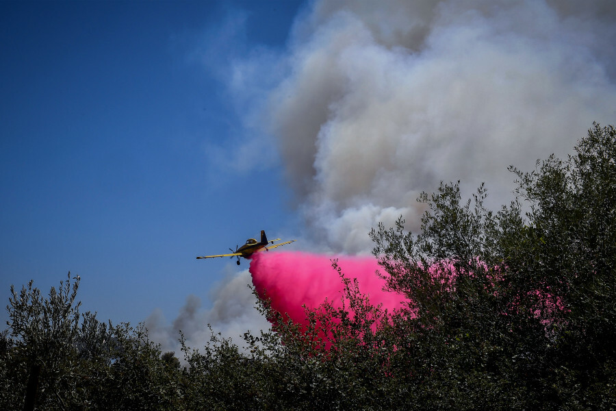 ΦΩΤΙΑ ΣΟΦΙΚΟ