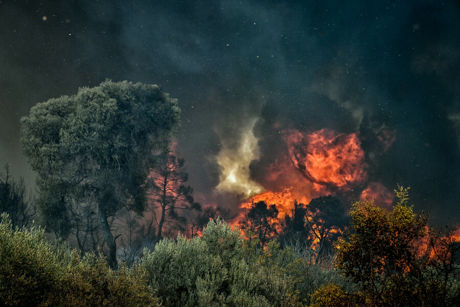 ΦΩΤΙΑ ΣΟΦΙΚΟ